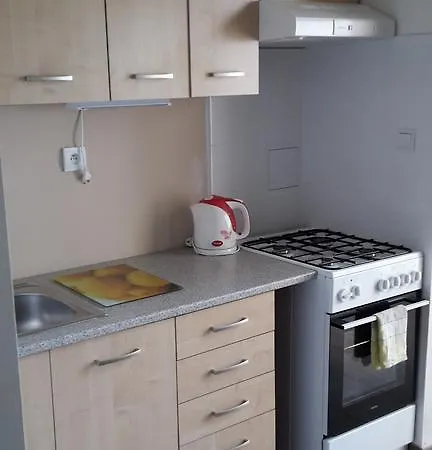 Apartment Brno דירה ברנו