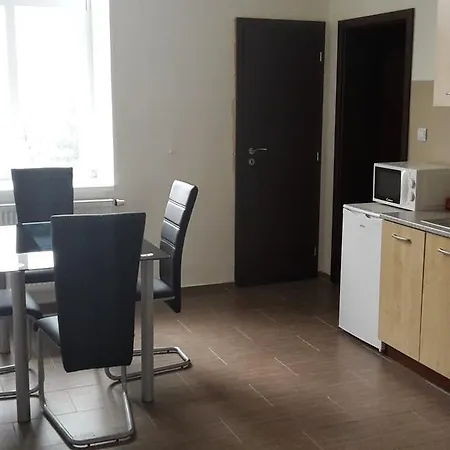 Apartment Brno * ברנו