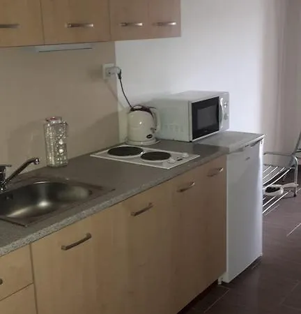 Apartment Brno דירה ברנו